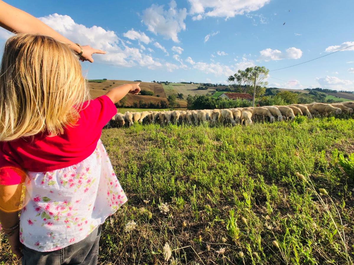 Ritorno Alla Natura Recanati Eksteriør billede